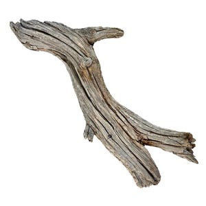 May include: A piece of weathered, grey driftwood with a gnarled, organic shape. The surface features deep, longitudinal grooves, cracks, and a textured grain pattern. It has a main trunk that branches into two distinct, pointed ends.