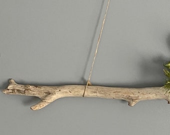 Large Rustic Driftwood Branch With Knobs and Waves for Wall 