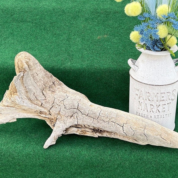Driftwood Branch for Reptiles, Large Driftwood Log, 29" Wood Branch, Long Tree Branch, Bearded Dragon Accessories, Reptile Supplies