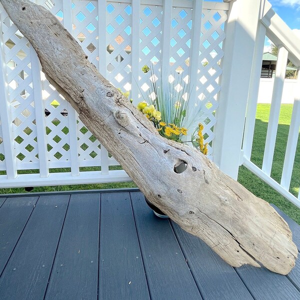 Extra Large Driftwood Branch, 52" Tree Limb, Lake House Decor, Long Wood Branch, Outdoor Patio Decor, Beach Theme Decor, Beach Driftwood