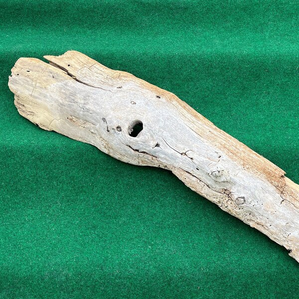 Extra Large Driftwood Etsy
