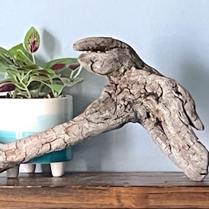 Driftwood Branch for Home Decor, Natural Wood Branch, Tree Branch Art, Driftwood Sculpture, Driftwood Art for Beach House, Mantle Decor
