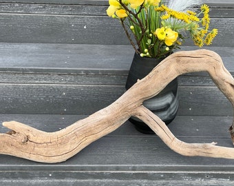 Driftwood Branch for Reptile Tank Decor, Bearded Dragon Accessories, Reptile Supplies, 30" Wood For Snakes, Extra Large Wood Branch