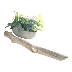 Driftwood for Wall Hanging, Tree Branch Decor, Decorative Hanging Rod, Macrame Hanger, Beach Decor, Rustic Natural Organic Wood