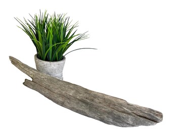 21" Driftwood Branch for Reptile Climbing, Bearded Dragon Enclosure Decor, Wood Stick, Reptile Accessories, Gecko Supplies, Snake Log