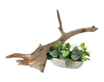 Extra Large Tree Branch, 35