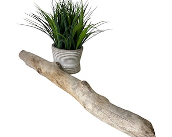 Driftwood Limb for Wall Hanger, 23" Tree Branch Decor, Natural Wood Art, Decorative Hanging Rod, DIY Wall Decor, Craft Branches