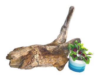 Wood Branch for Reptiles, Driftwood for Lizards, Snake Accessories, Reptile Supplies, Bearded Dragon Enrichment, Leopard Gecko Tank Supply