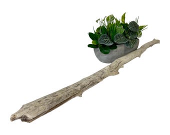 Long Driftwood Branch for Wall Hanging, Coastal Wall Art, 46" DIY Natural Tree Limb, Rod to Hang, Wood for Macrame Hanger