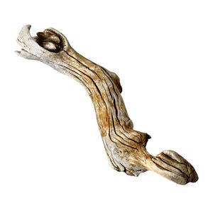 May include: A piece of driftwood with a curved shape, featuring a light brown and tan color palette. The wood has visible grain and texture, with a weathered appearance. The driftwood is isolated against a white background.
