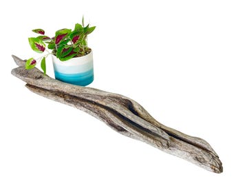 Driftwood Branch for Reptile Tank Enrichment, 25" Gecko Climbing Branch, Wood Stick for Lizards, Bearded Dragon Accessories, Vivarium Supply