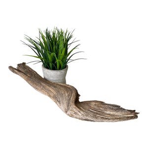 May include: A piece of weathered, light brown driftwood with a curved, organic shape positioned horizontally. Behind the driftwood sits a small, grey, ribbed cylindrical pot containing a cluster of spiky, vibrant green artificial grass.
