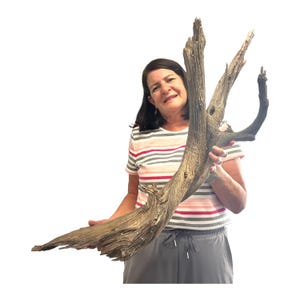 Extra Large Twisted Wood Tree Branch, Juniper Deadwood, Rustic Branch Decor, Garden Filler, Long Landscape Wood, Decorative Juniper Branch