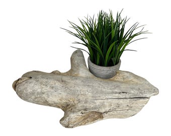 Grof drijfhout voor decor reptielenterrarium, logboek gekkohout, klimverrijking, tankaccessoires baardagaam, benodigdheden voor reptielen, benodigdheden voor reptielen