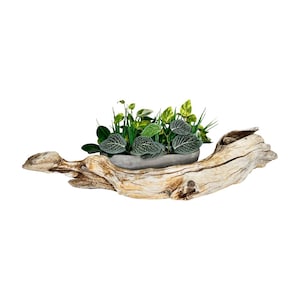 May include: A decorative wooden planter with a natural, weathered appearance. It holds a variety of green plants, including those with patterned leaves, in a gray rectangular container. The wood has a light brown color.