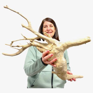 Large Driftwood Tree Branch, Unique Decor for Garden, Outdoor Patio Decor, Wood Sculpture for Landscape, Outdoor Driftwood Art, Pond Decor