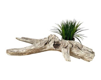 25" Driftwood Branch for Vivarium Decor, Snake Enclosure Accessories, Bearded Dragon Supplies, Climbing Enrichment Wood for Reptile Tank