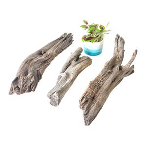 May include: A set of three ceramic nesting bowls in shades of blue, green, and white. The bowls feature a speckled glaze and a simple, modern design. The largest bowl is approximately 7 inches in diameter.