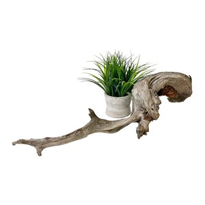 May include: A piece of weathered, light brown driftwood with a curved, textured form positioned next to a small, ribbed, light gray ceramic pot containing a vibrant green artificial grass plant with thin, pointed blades.