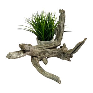 Driftwood Fall Decor, Wood for Centerpiece, Driftwood Art Sculpture, Rustic Decorative Branch, DIY Project Wood, Tree Branch Art for Display