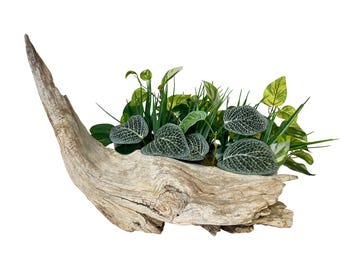 Driftwood Tree Branch for Reptile Enclosure, Bearded Dragon Tank Accessories, Gecko Supply, 19" Climbing Wood for Turtle