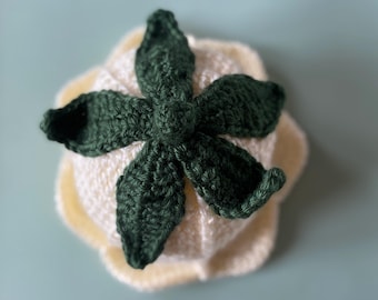 Crocheted Baby Flower Hat