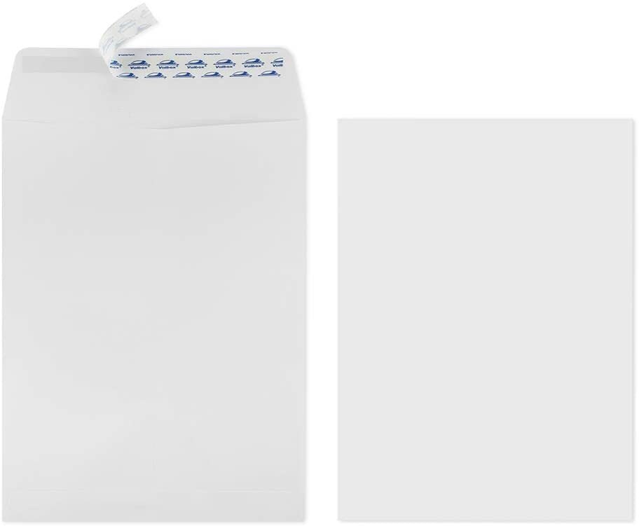 Catalog Envelope, Shipping Supplies, 6''x9'' White Kraft Business