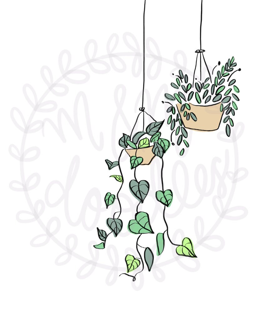 DIGITAL WALL ART / Hanging plants / Printable Wall Art / Digital Prints Télécharger / Plant art ...