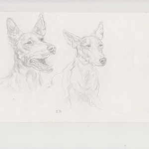 Pharaonenhunde Digitaldruck, Pharaohounds Bleistift Digitaldruck, Pharaohounds Vintage
