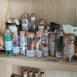 Mystery Set von 3 Naturkuriositäten | Natur-Probenfläschchen | Kabinett der Wunder Fläschchen | Überraschungsbox | Wunderbox