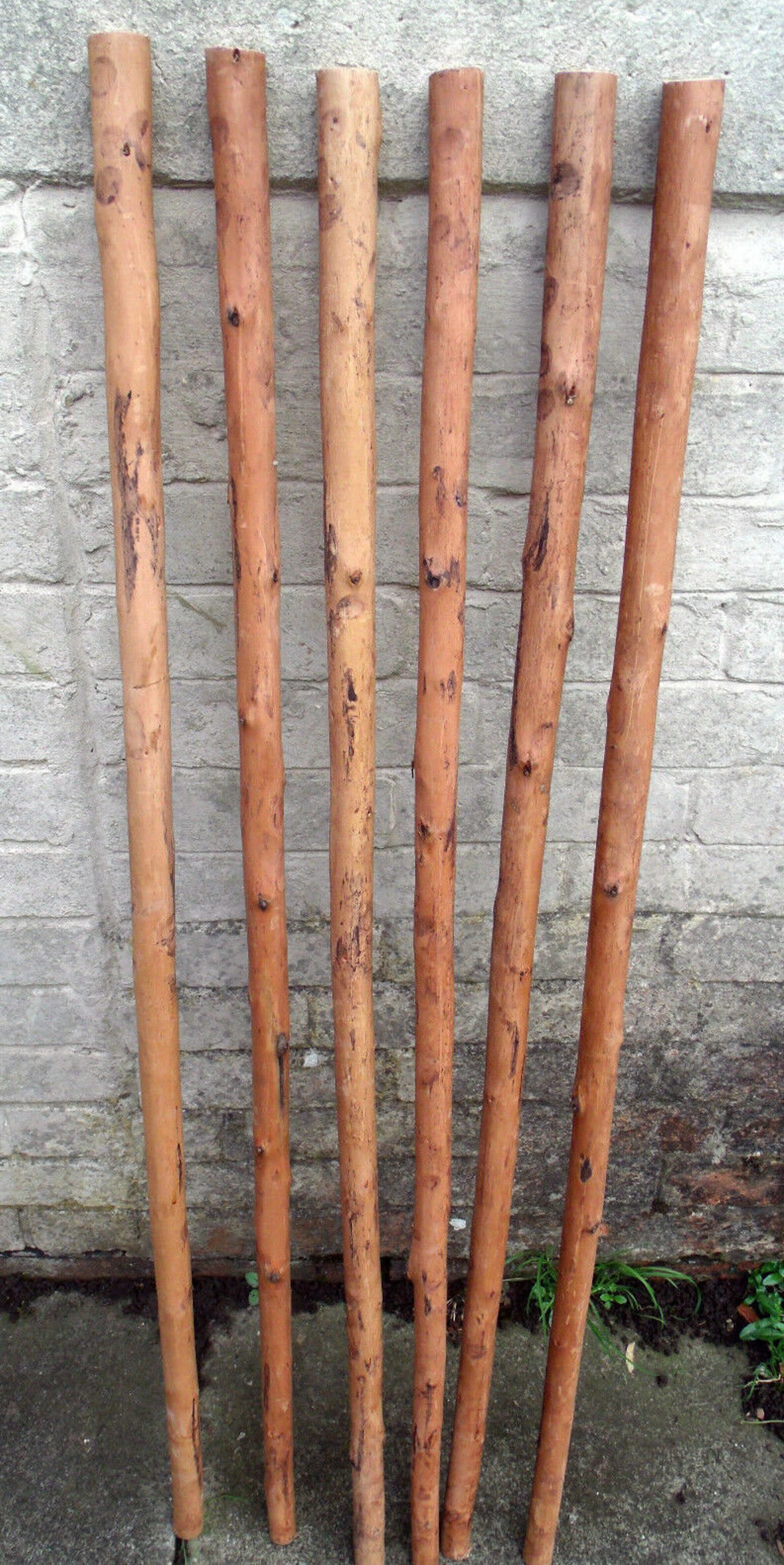3 Chestnut Shafts Shanks Seasoned Straightened Stickmaking Etsy