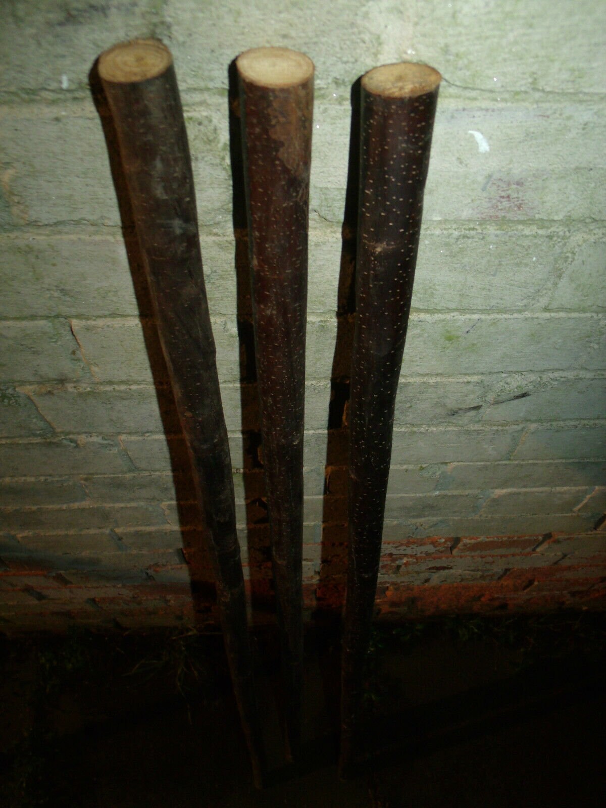 3 Chestnut Shanks Stickmaking Walking Stick Shafts Blanks Bark Etsy UK