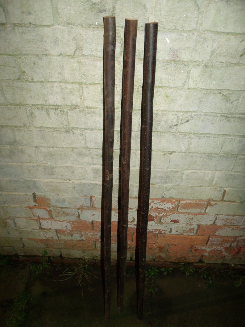 3 Chestnut Shanks Stickmaking Walking Stick Shafts Blanks Bark Etsy UK