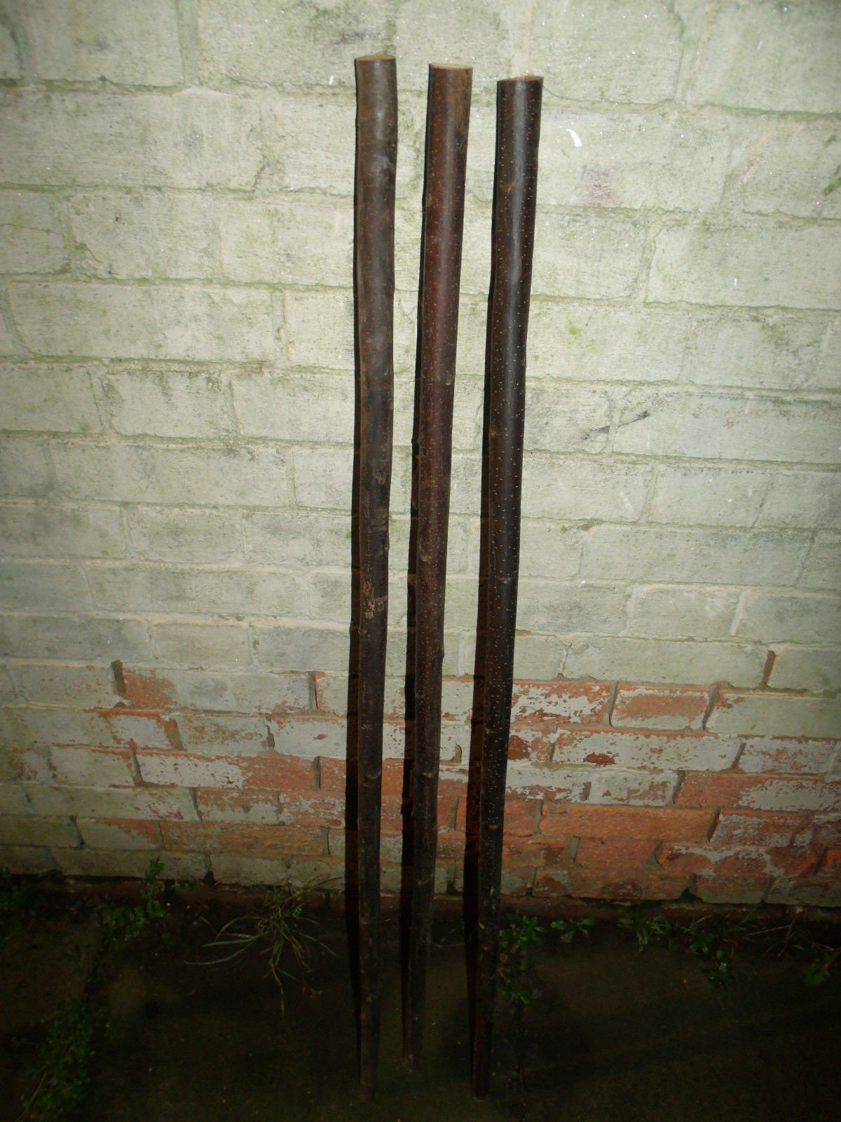 3 Chestnut Shanks Stickmaking Walking Stick Shafts Blanks Bark Seasoned Blank 