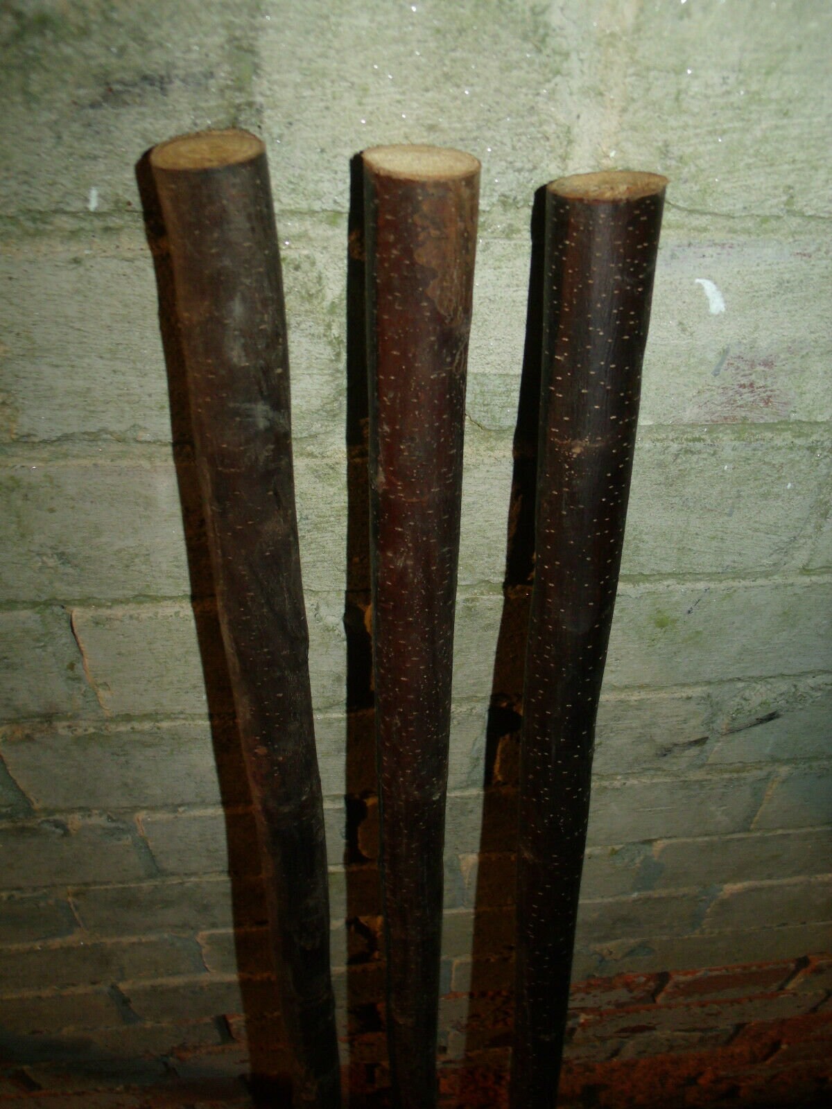 3 Chestnut Shanks Stickmaking Walking Stick Shafts Blanks Bark Etsy UK