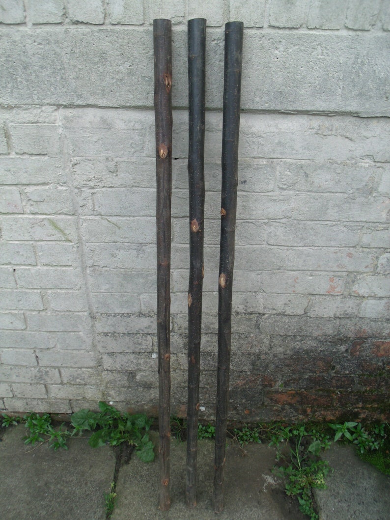 3 Chestnut Shanks Stickmaking Walking Stick Shafts Blanks Bark Etsy UK