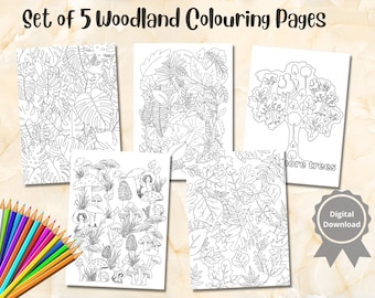 5 Printable Woodland Colouring pages, Digital Colouring Pages for Adult and Kids