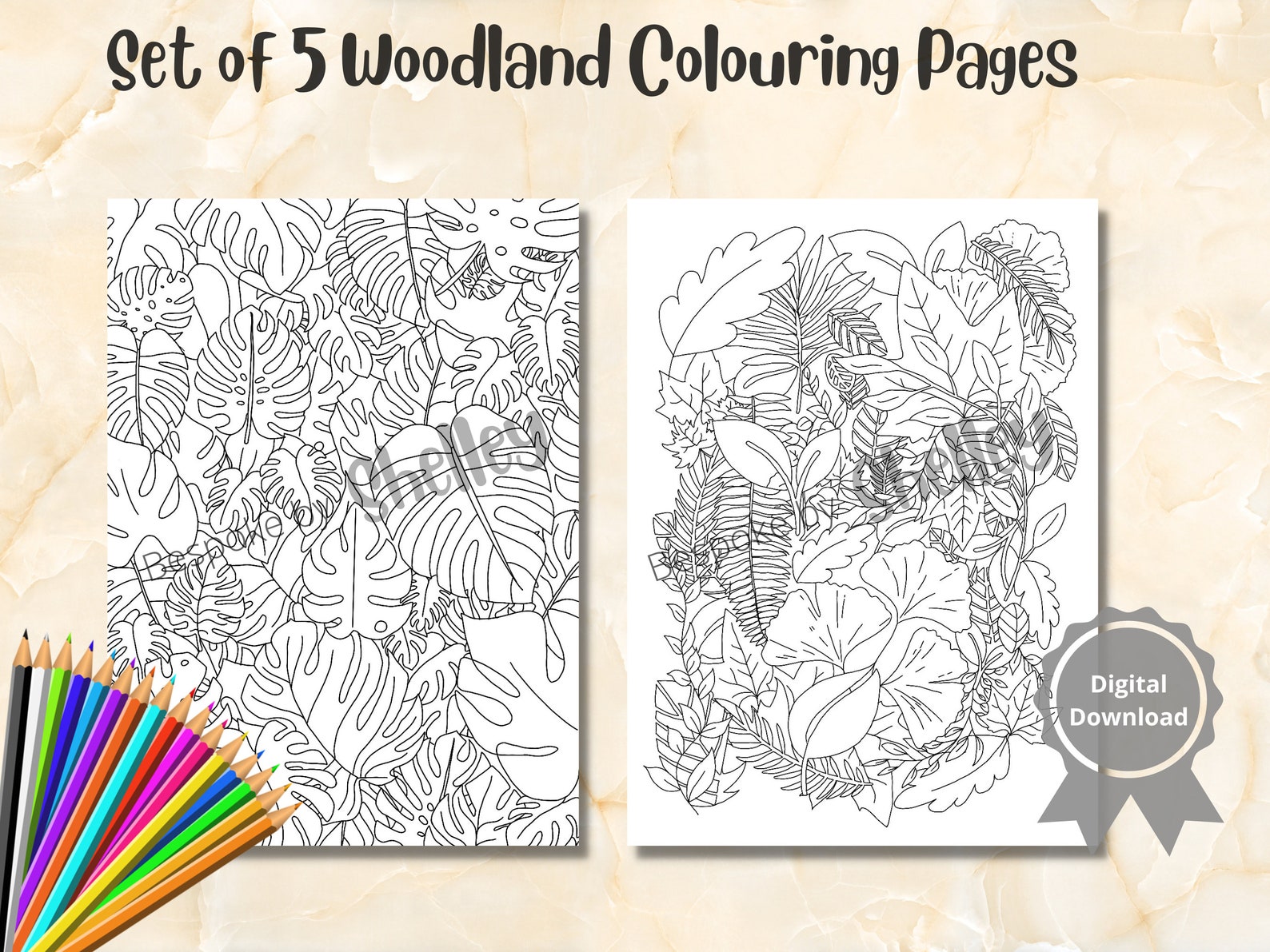 5 Printable Woodland Colouring Pages Digital Colouring Pages Etsy UK