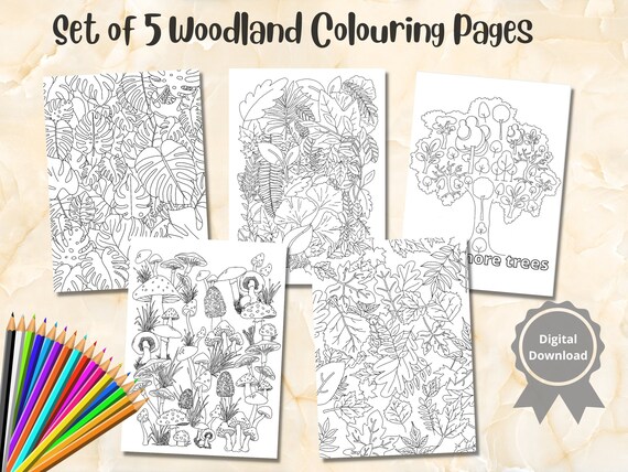 5 Printable Woodland Colouring Pages Digital Colouring Pages - Etsy UK