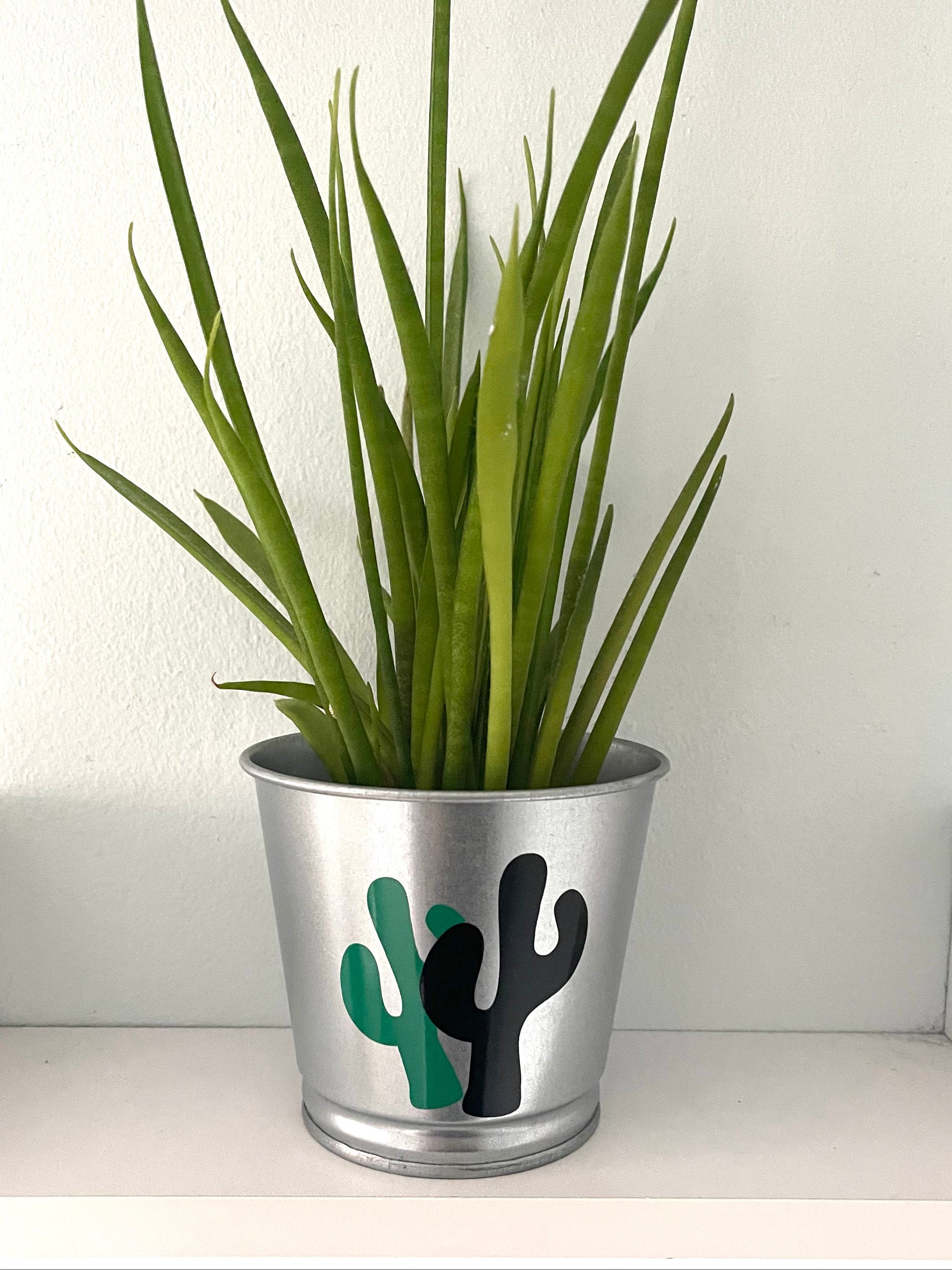Verzinkter Kaktus Design Übertopf im Innen oder Außenbereich | Etsy