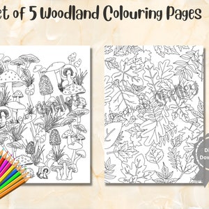 5 Printable Woodland Colouring Pages, Digital Colouring Pages for Adult ...