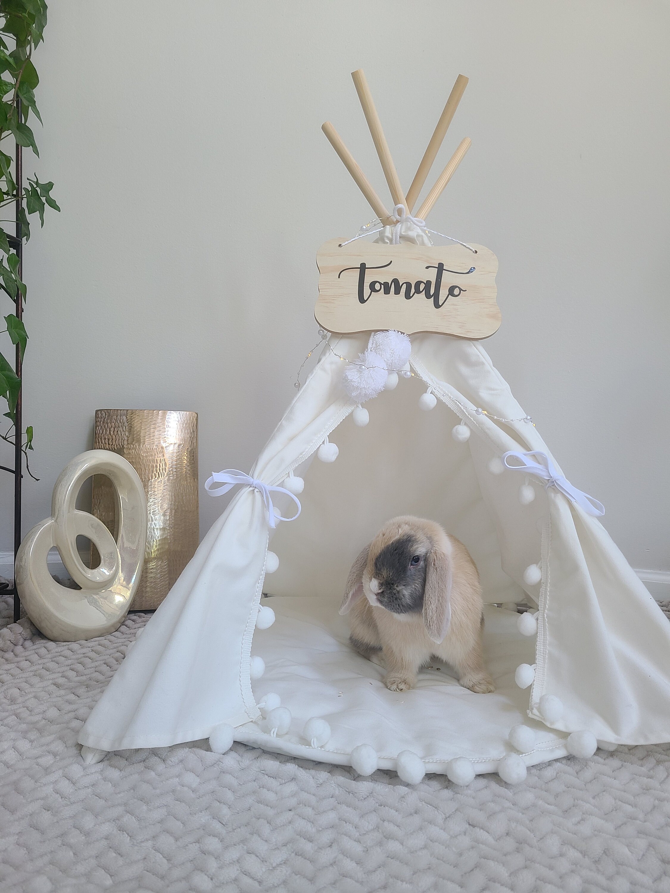 Teepee for Bunnies Pet Bed Bed for Small Pets Teepee Pet Etsy