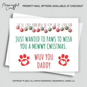 Funny Pet Dad Christmas Card: From Dog or Cat