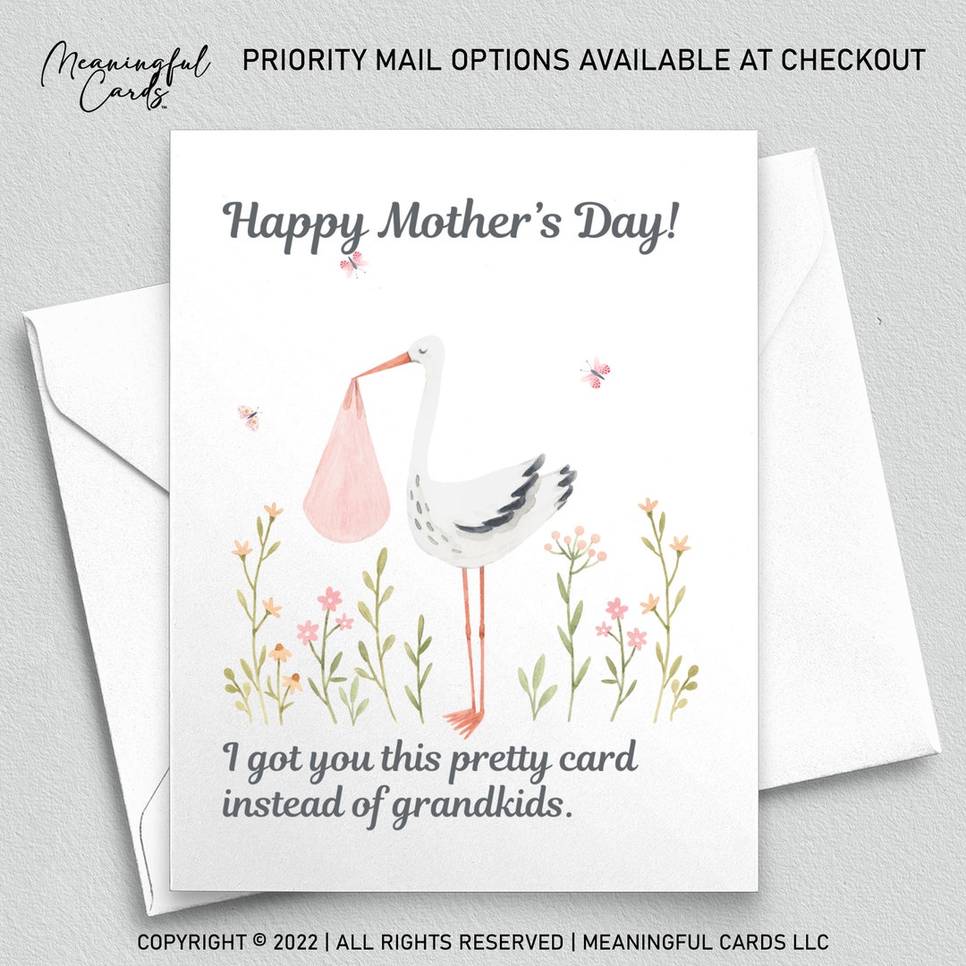 I Got You This Pretty Card Instead of Grandkids Happy Mother's Day ...
