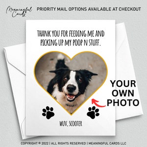 Carte papa chien, carte papa chat, carte fête des pères avec photo d'animal de compagnie, carte papa fourrure, carte fête des pères, cadeau fête des pères, carte de chien, carte de chat