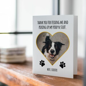 May include: A white card with a black and white dog photo inside a gold heart shape. The card says "Thank you for feeding me and picking up my poop n stuff. WUV, SCOOTER".