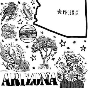 Arizona Coloring Page