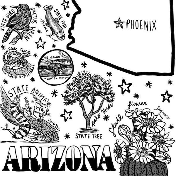 Arizona Coloring Page