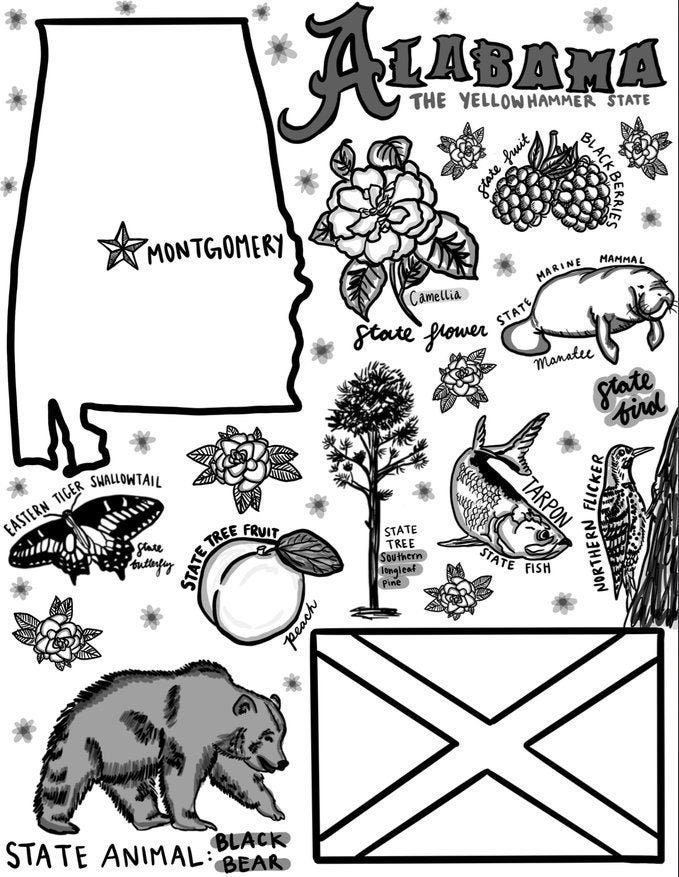 Alabama Coloring Page Etsy - Il Fullxfull.3129950728 B45p 