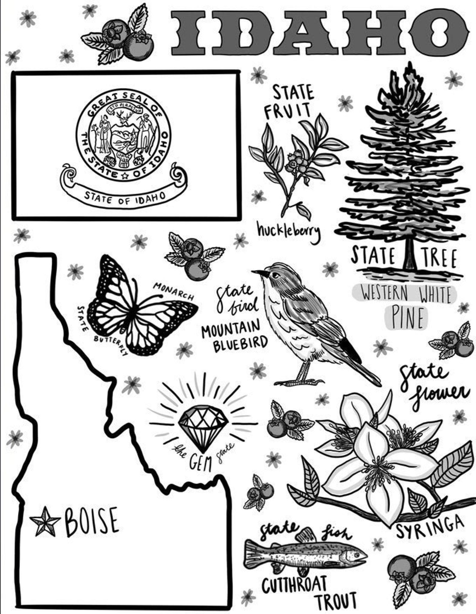 Idaho Coloring Page Etsy